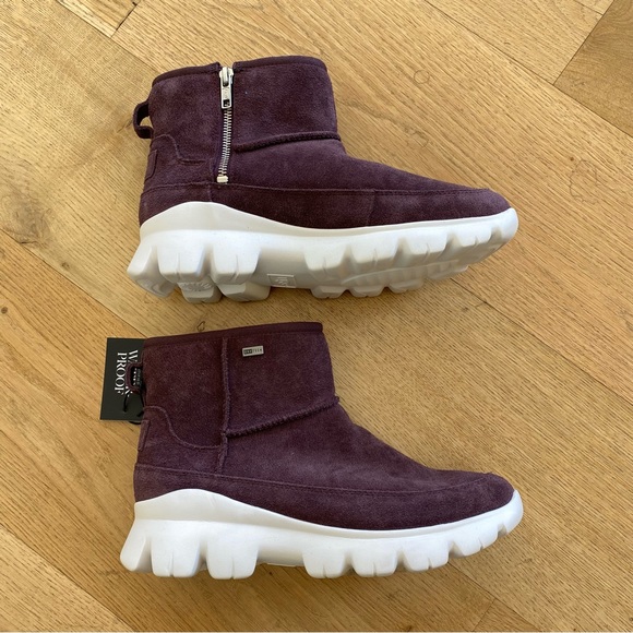 palomar ugg boots